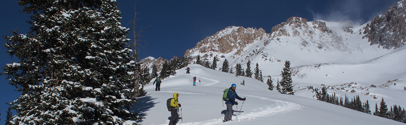 Skiers skinning in Colorado