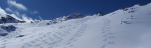 Skier tracks down mountain