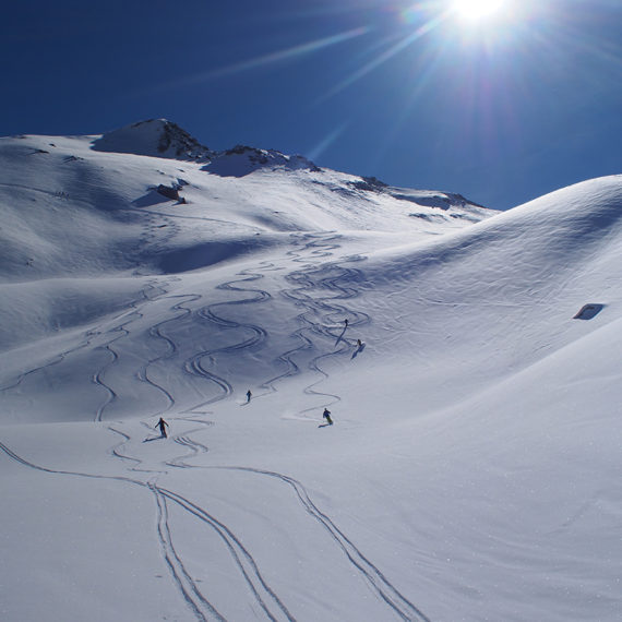 Bluebird powder turns