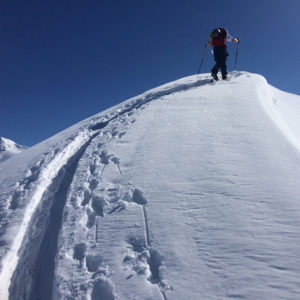 Skier skinning up mountain